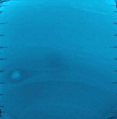 The "Bright Eye" of Neptune (natural colors, according to Lunexit)
nessun commento
Parole chiave: Neptune