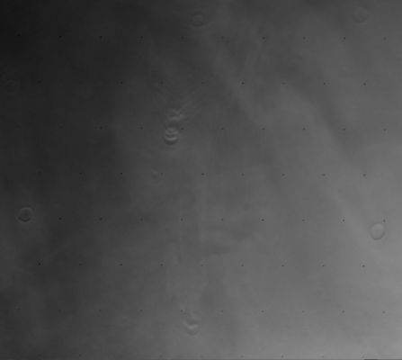 Mars, according to Viking 1 Orbiter
nessun commento
Parole chiave: Mars