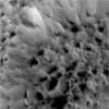 Hyperion-N00040337.jpg