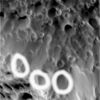 Hyperion-N00040344.jpg