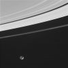 Mimas-N00026835.jpg
