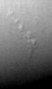 Neptune-shadows-PIA02220.jpg