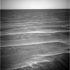 OPP-SOL398-1N163523129EFF4900P0685L0M1.jpg