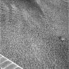OPP-SOL458-1P168844227EFF55DIP2263L2M1.jpg