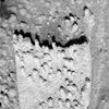 OPP-SOL510-1M173457602EFF55W4P2936M2M1.jpg