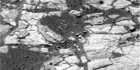 OPP-SOL552-1P177186528ESF58D4P2580L2M1.jpg