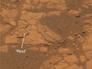OPP-SOL552-B_P2580_1_True_RAD_ann-B570R1.jpg