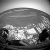OPP-SOL562-1F178076164EFF58EBP1235L0M1.jpg