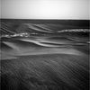 OPP-SOL631-1N184208868EFF63__P0705R0M1.jpg
