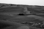 OPP-SOL658-1P186596150ESF64KCP2584L6M1.jpg