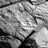 OPP-SOL690-1P189455513EFF64KCP2562L7M1.jpg