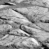 OPP-SOL715-1P191674893ESF64KSP2592L6M1.jpg