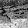 OPP-SOL727-1M192731756EFF64LOP2956M2M1.jpg