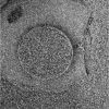 OPP-SOL727-1M192736071EFF64LOP2936M2M1.jpg