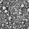 OPP-SOL727-1M192736838EFF64LOP2936M2M1.jpg
