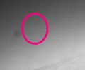 OPP-SOL871-1F205513565EFF734UP1214L0M1-2.jpg