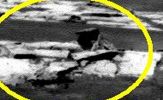 OPP-SOL873-1P205688604EFF735TP2442R2M1-2.jpg