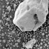 OPP-SOL886-1M206839186EFF74N8P2936M2M1.jpg