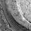 OPP-SOL894-1M207547577EFF74V1P2956M2M1.jpg