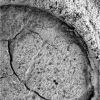 OPP-SOL894-1M207547807EFF74V1P2936M2M1.jpg