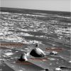 Nome del file=OPP-SOL896-1P207729302EFF74YKP2355L2M1-A~0.jpg
Dimensione del file=234KiB
Dimensioni=1024x1024
Aggiunta il=Ago 03, 2006 OPP-SOL896-1P207729302EFF74YKP2355L2M1-A~0.jpg