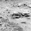 SOL430-2P164538648ESFA8B3P2593R7M1.JPG