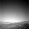 SOL442-2N165614476EFFA978P0894L0M1.jpg