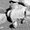 SOL448-2P166143693ESFA9B0P2544R1M1.jpg