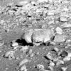 SOL448-2P166145089ESFA9B0P2547L2M1.jpg
