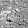 SOL474-2P168445791ESFAA04P2568L7M1.jpg