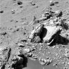 SOL482-2P169153145EFFAAB2P2417L5M1.jpg