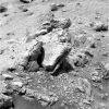 SOL483-2P169236317EFFAAB2P2590L2M1.jpg