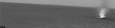 SOL486-PIA07253.jpg