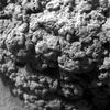 SOL503-2M171016973EFFAAFQP2936M2M1.jpg
