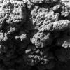 SOL503-2M171017296EFFAAFQP2936M2M1.jpg