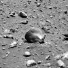 SOL530-2P173413956ESFACAQP2593L7M1.jpg