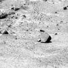 SOL530-2P173414974ESFACAQP2595L4M1.jpg
