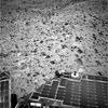SOL548-2N175019111EFFACI7P0665L0M1.jpg