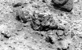 SOL555-2P175634089ESFAD56P2578R5M1.jpg