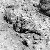 SOL558-2P175895674ESFAD80P2580L3M1.jpg