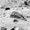 SOL561-2P176161963ESFAD80P2593L2M1.jpg