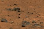 SOL673-PIA03623-5.jpg