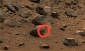 SOL677-PIA03640-020.jpg