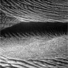 SOL708-2P189220973EFFAL00P2267L2M1.jpg