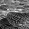 SOL708-2P189223175EFFAL00P2267L2M1.jpg