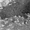 SOL750-2M192956077EFFAO55P2936M2M1.jpg