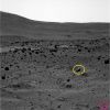 SOL814-2P198625913EFFAR00P2280L7M1.jpg