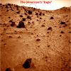 The_American_Eagle-SOL1041-2N218780428EFFAS81P0700R0M1.jpg