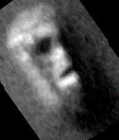 As Time Goes By... (1)
Due bellissimi GIF-Movies per vedere come la "Face on Mars" sia (sostanzialmente!) cambiata negli ultimi 25 anni.
Molti sostenitori della natura artificiale della "Face" dicono che la NASA ha truccato le carte - rectius: le immagini - perchè un qualcosa che rimane inalterato (o quasi) per milioni e milioni di anni non può deteriorarsi improvvisamente. 
Giusto.
Ma chi può dire con certezza assoluta che la collinetta che noi chiamiamo "Face" è DAVVERO rimasta INALTERATA per milioni e milioni di anni?
Che dire se, invece, la "Face" è stata tale solo per un breve intervallo di tempo? 
In altre parole: e se provassimo a cambiare i termini del discorso per una volta - così, tanto per non fare sempre i "Complottisti" - e dicessimo che la "Face" (FORSE!) non è altro che una collinetta la quale ha mutato e muta continuamente d'aspetto a causa del concorso di svariate cause (i.a.: le condizioni meteorologiche di Marte) e noi, grazie all'occhio del Viking Orbiter One, in un istante della sua "vita" (fatta, ripetiamo, di continui e costanti cambiamenti), l'abbiamo vista "simile" ad un volto umanoide il quale, ovviamente, è durato (o meglio: si è mostrato a noi come tale) solo per un breve periodo di tempo?

Perchè no?!? Pensateci sopra...

Parole chiave: GIF-Movie
