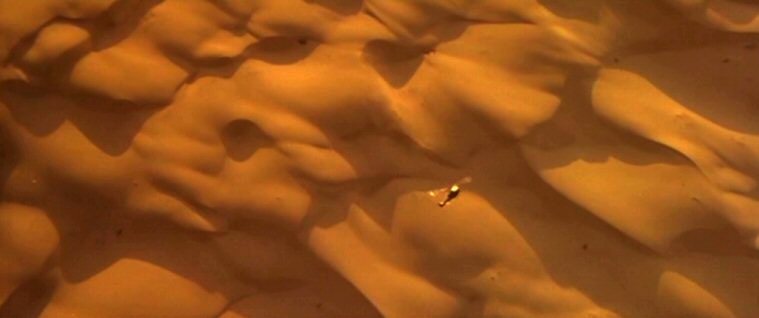 Just like Mars: the desert near Foum Tataouine
nessun commento
Parole chiave: Earth - Tunisian Desert